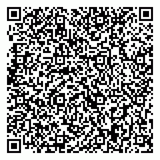 vCard 79393019221