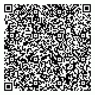 vCard 79393019350