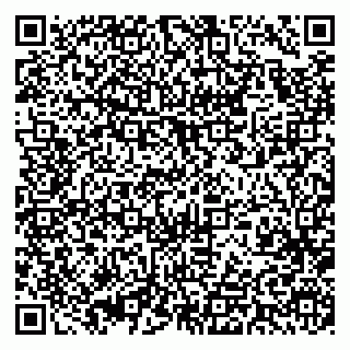 vCard 79393019381