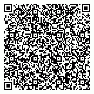 vCard 79393019387