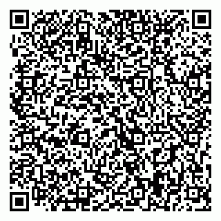 vCard 79393019411