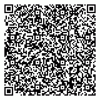 vCard 79393019503
