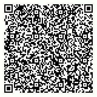 vCard 79393019529