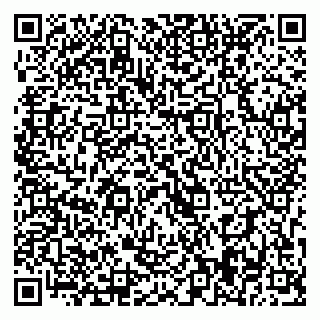 vCard 79393019581