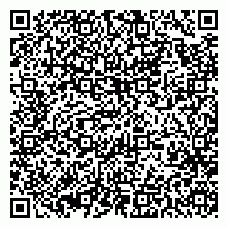 vCard 79393019733