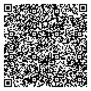 vCard 79393019735