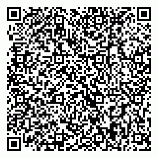 vCard 79393019803