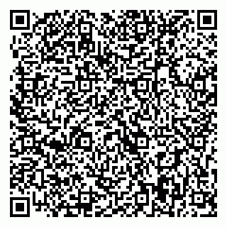 vCard 79393019809