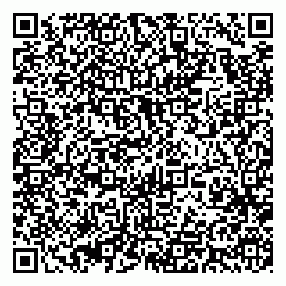 vCard 79393019811