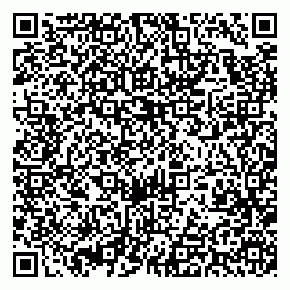 vCard 79393019901