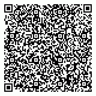 vCard 79393019911