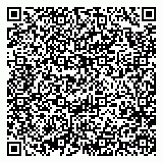 vCard 79393019921