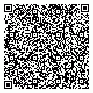 vCard 79393019968