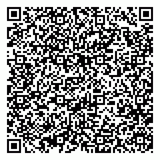 vCard 79393019984