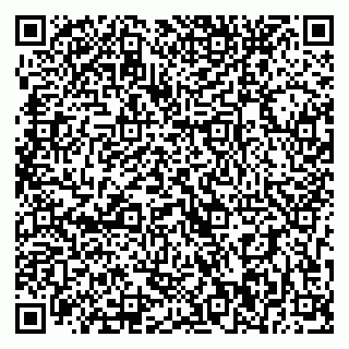 vCard 79393020001