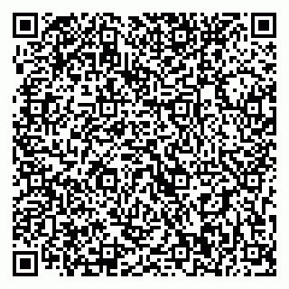 vCard 79393020004