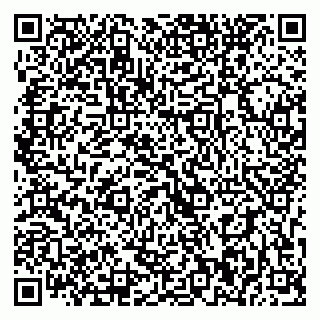 vCard 79393020020