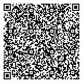 vCard 79393020021