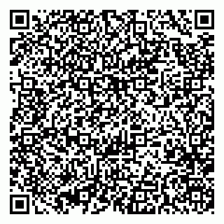 vCard 79393020027