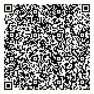 vCard 79393020029