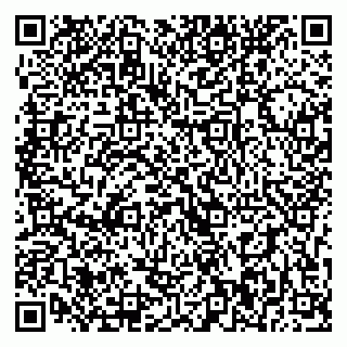 vCard 79393020041
