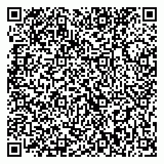 vCard 79393020063
