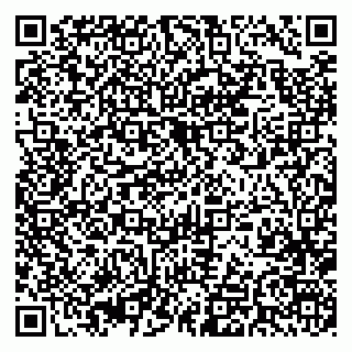 vCard 79393020081