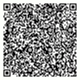 vCard 79393020087