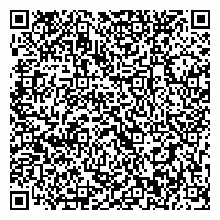 vCard 79393020104