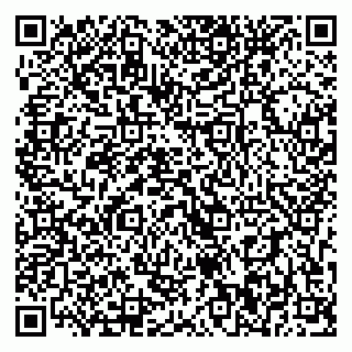 vCard 79393020111