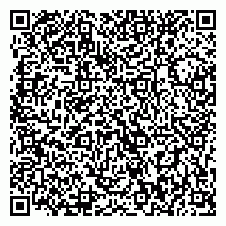 vCard 79393020132