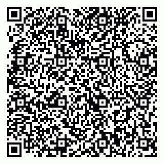vCard 79393020133