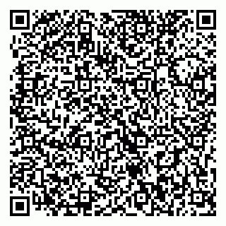 vCard 79393020163