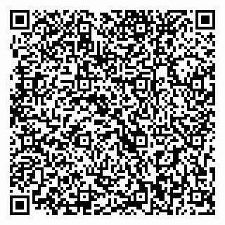 vCard 79393020199