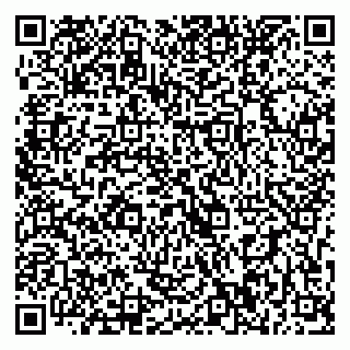vCard 79393020287