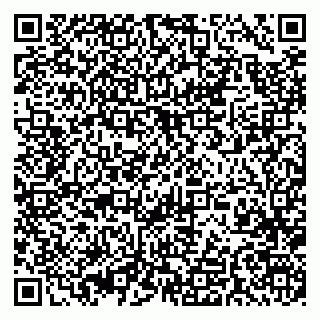 vCard 79393020294