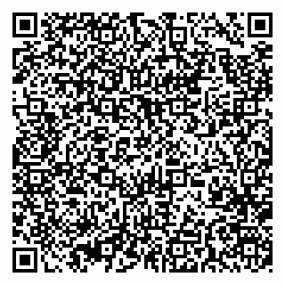 vCard 79393020297