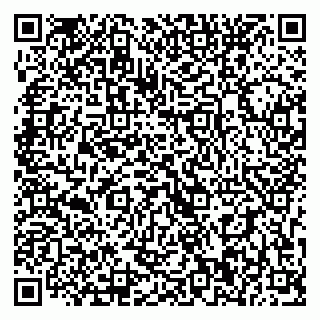 vCard 79393020304