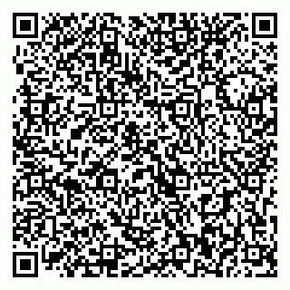 vCard 79393020310