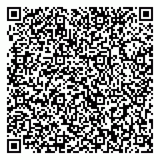 vCard 79393020311