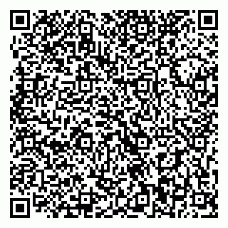vCard 79393020329