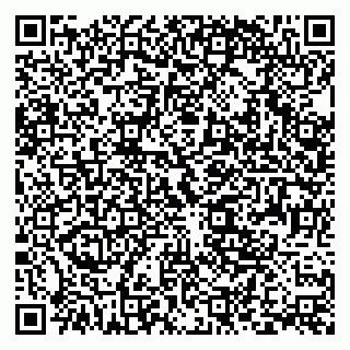 vCard 79393020351
