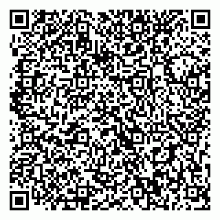 vCard 79393020357