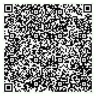 vCard 79393020380