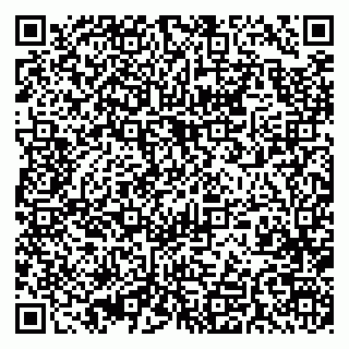 vCard 79393020384