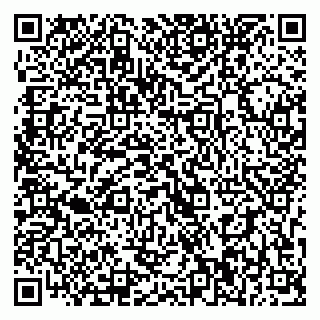 vCard 79393020385