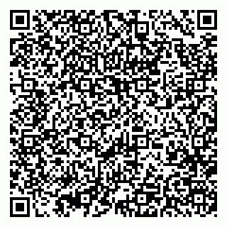 vCard 79393020399