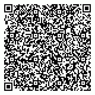 vCard 79393020802