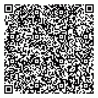 vCard 79393020809