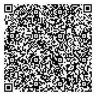 vCard 79393020881